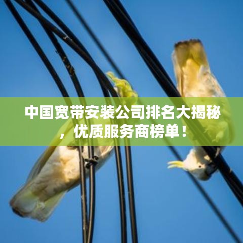 中國(guó)寬帶安裝公司排名大揭秘，優(yōu)質(zhì)服務(wù)商榜單！