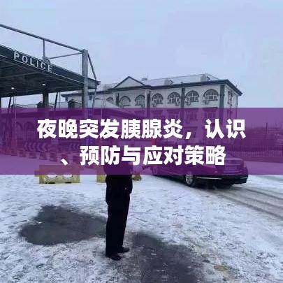 夜晚突發(fā)胰腺炎，認(rèn)識(shí)、預(yù)防與應(yīng)對(duì)策略