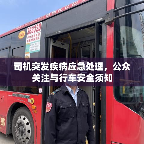 司機(jī)突發(fā)疾病應(yīng)急處理，公眾關(guān)注與行車安全須知