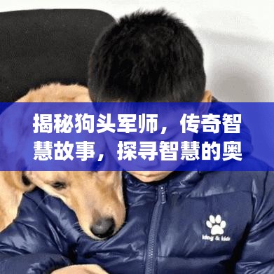 揭秘狗頭軍師，傳奇智慧故事，探尋智慧的奧秘