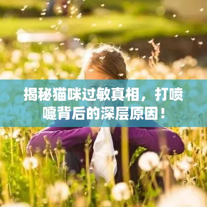 揭秘貓咪過敏真相，打噴嚏背后的深層原因！