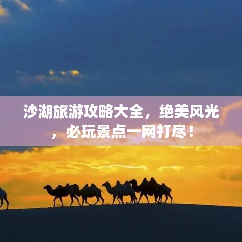 沙湖旅游攻略大全，絕美風(fēng)光，必玩景點(diǎn)一網(wǎng)打盡！