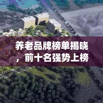養(yǎng)老品牌榜單揭曉，前十名強(qiáng)勢(shì)上榜，不容錯(cuò)過！