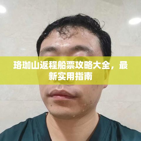 珞珈山返程船票攻略大全，最新實用指南