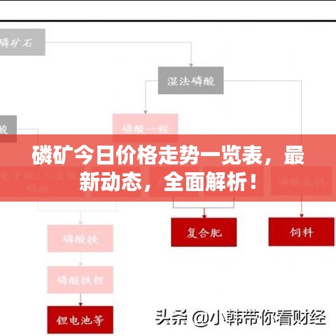 磷礦今日價格走勢一覽表，最新動態(tài)，全面解析！