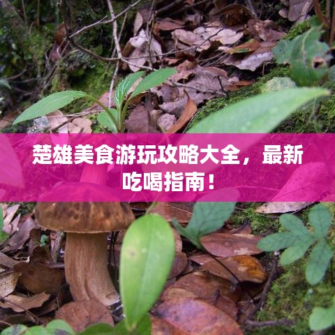 楚雄美食游玩攻略大全，最新吃喝指南！