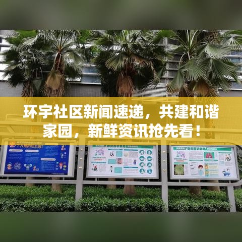 環(huán)宇社區(qū)新聞速遞，共建和諧家園，新鮮資訊搶先看！