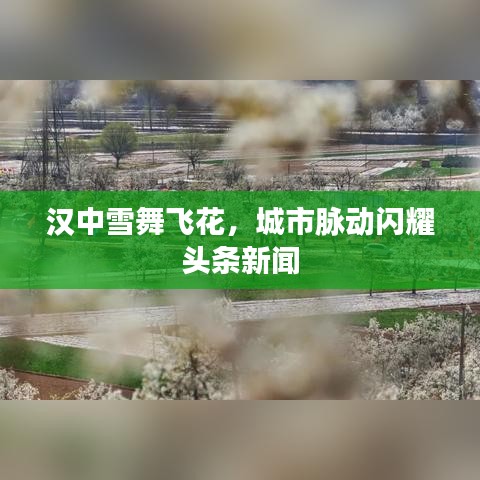 漢中雪舞飛花，城市脈動(dòng)閃耀頭條新聞