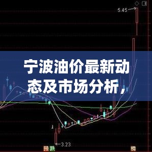 寧波油價(jià)最新動(dòng)態(tài)及市場(chǎng)分析，今日關(guān)注焦點(diǎn)