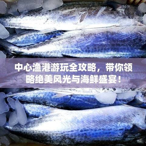 中心漁港游玩全攻略，帶你領(lǐng)略絕美風(fēng)光與海鮮盛宴！