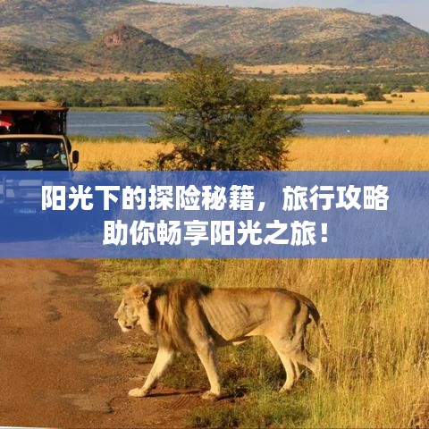 陽(yáng)光下的探險(xiǎn)秘籍，旅行攻略助你暢享陽(yáng)光之旅！