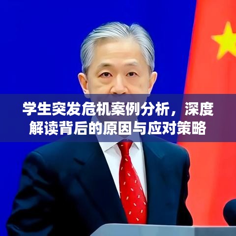 學(xué)生突發(fā)危機案例分析，深度解讀背后的原因與應(yīng)對策略