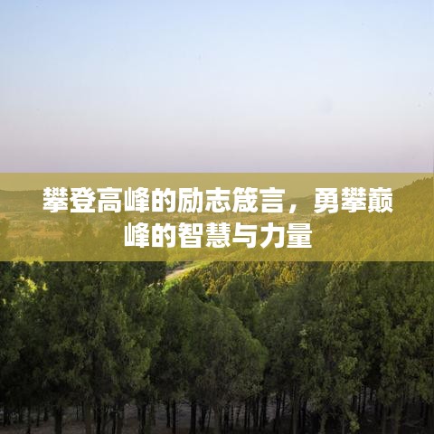 攀登高峰的勵志箴言，勇攀巔峰的智慧與力量