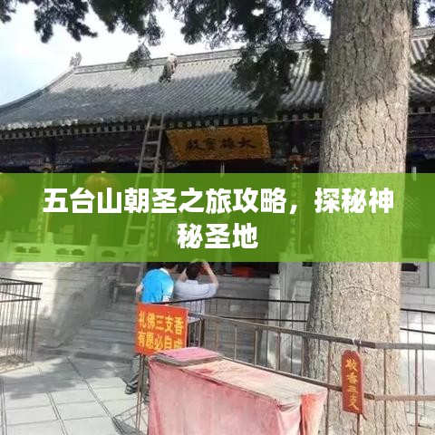 五臺(tái)山朝圣之旅攻略，探秘神秘圣地