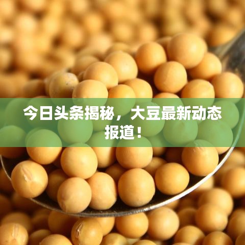今日頭條揭秘，大豆最新動(dòng)態(tài)報(bào)道！