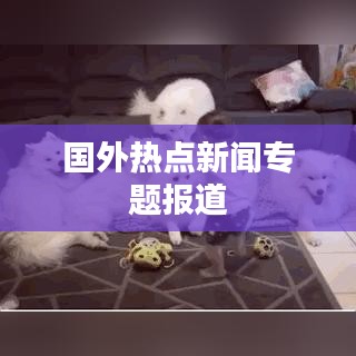 國外熱點(diǎn)新聞專題報(bào)道