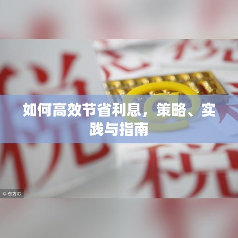 如何高效節(jié)省利息，策略、實(shí)踐與指南