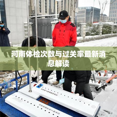 河南體檢次數與過關率最新消息解讀