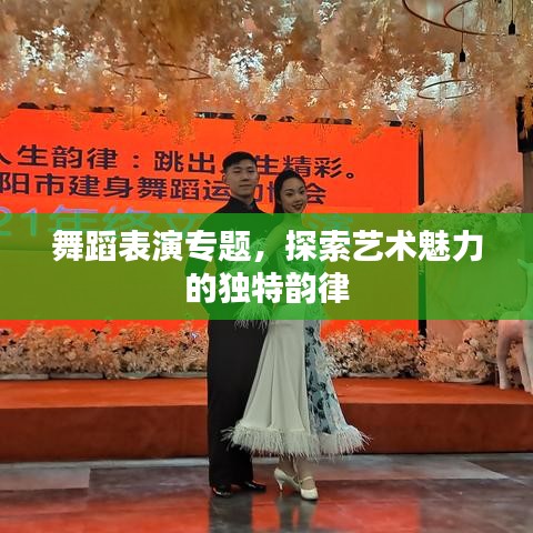 舞蹈表演專題，探索藝術(shù)魅力的獨(dú)特韻律