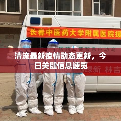 清流最新疫情動態(tài)更新，今日關(guān)鍵信息速覽
