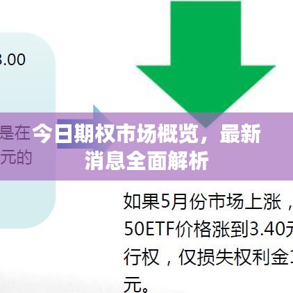 今日期權(quán)市場(chǎng)概覽，最新消息全面解析
