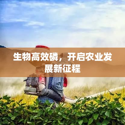生物高效磷，開(kāi)啟農(nóng)業(yè)發(fā)展新征程