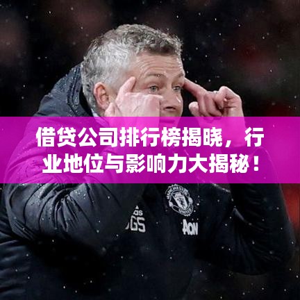 借貸公司排行榜揭曉，行業(yè)地位與影響力大揭秘！