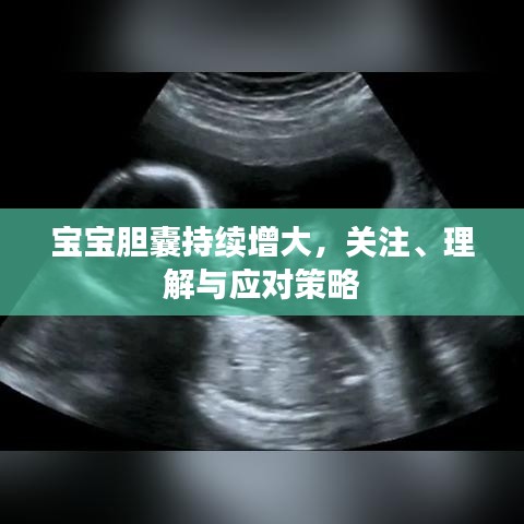 寶寶膽囊持續(xù)增大，關(guān)注、理解與應(yīng)對(duì)策略