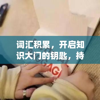 詞匯積累，開(kāi)啟知識(shí)大門(mén)的鑰匙，持續(xù)學(xué)習(xí)成就未來(lái)之路