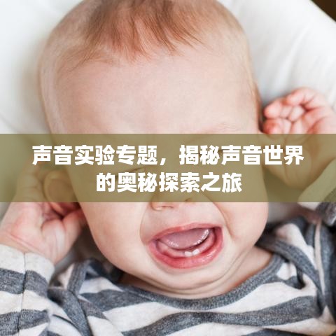 聲音實(shí)驗(yàn)專題，揭秘聲音世界的奧秘探索之旅