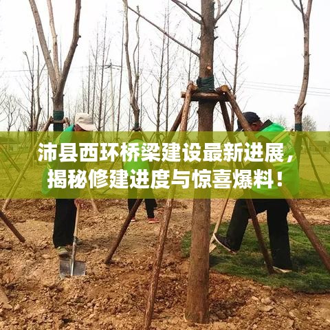 沛縣西環(huán)橋梁建設最新進展，揭秘修建進度與驚喜爆料！