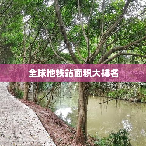 張燈結(jié)彩 第2頁