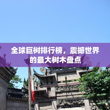 全球巨樹排行榜，震撼世界的最大樹木盤點(diǎn)