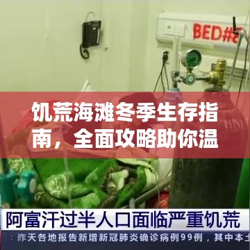 饑荒海灘冬季生存指南，全面攻略助你溫暖過冬