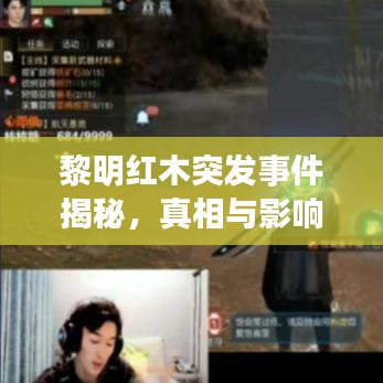 黎明紅木突發(fā)事件揭秘，真相與影響探究