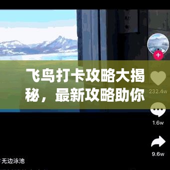 飛鳥打卡攻略大揭秘，最新攻略助你暢游天際！