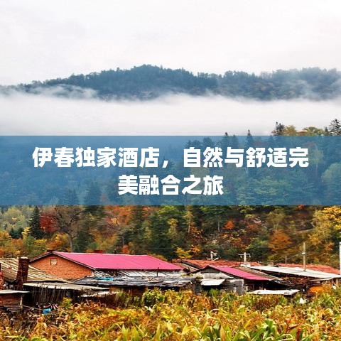 伊春獨家酒店，自然與舒適完美融合之旅