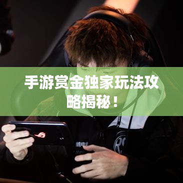 手游賞金獨家玩法攻略揭秘！