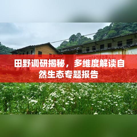 田野調(diào)研揭秘，多維度解讀自然生態(tài)專題報告