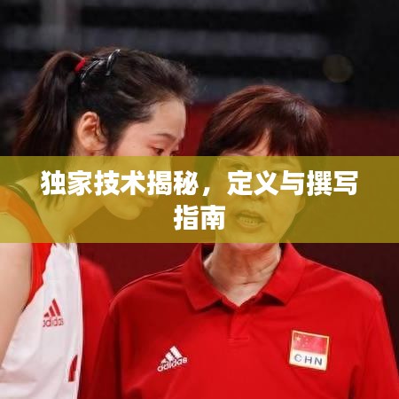 獨家技術(shù)揭秘，定義與撰寫指南