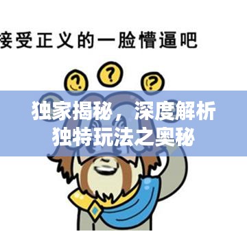 獨家揭秘，深度解析獨特玩法之奧秘